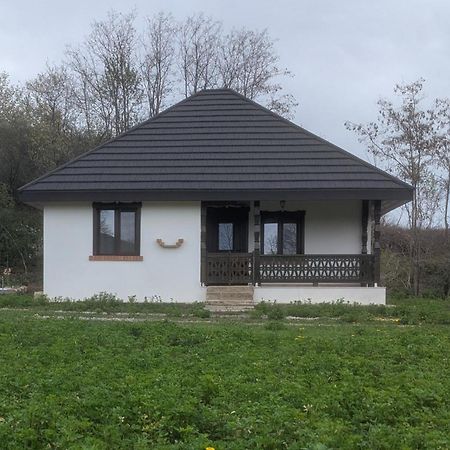 Tîrgu Ocna Casa Livada Bunicii 빌라 외부 사진
