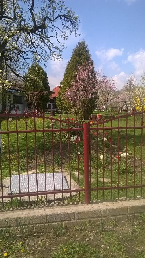 Tîrgu Ocna Casa Livada Bunicii 빌라 외부 사진
