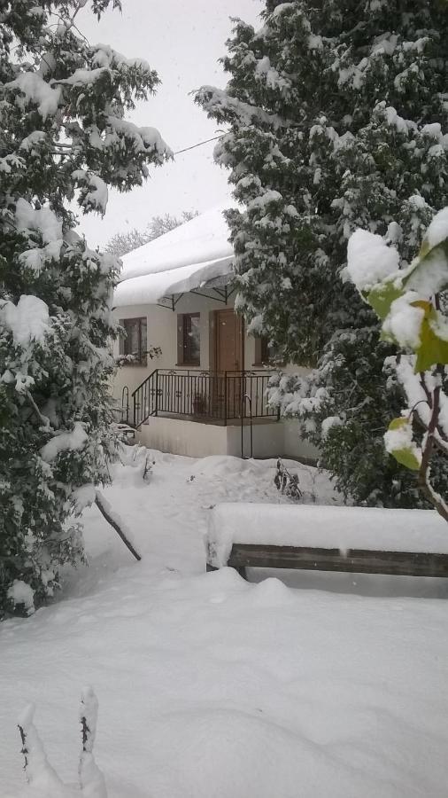Tîrgu Ocna Casa Livada Bunicii 빌라 외부 사진